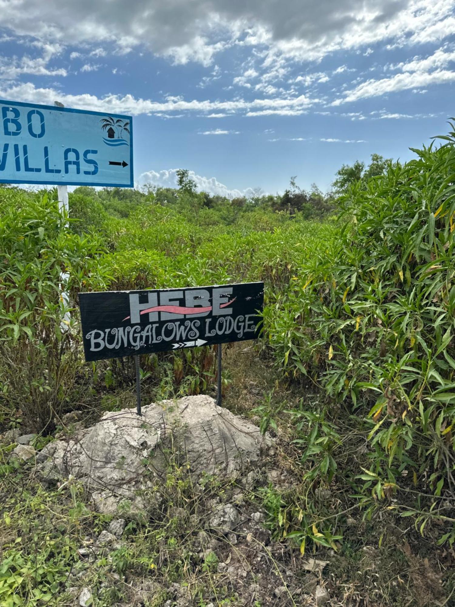 Hebe Bungalows Lodge Matemwe  Exteriör bild