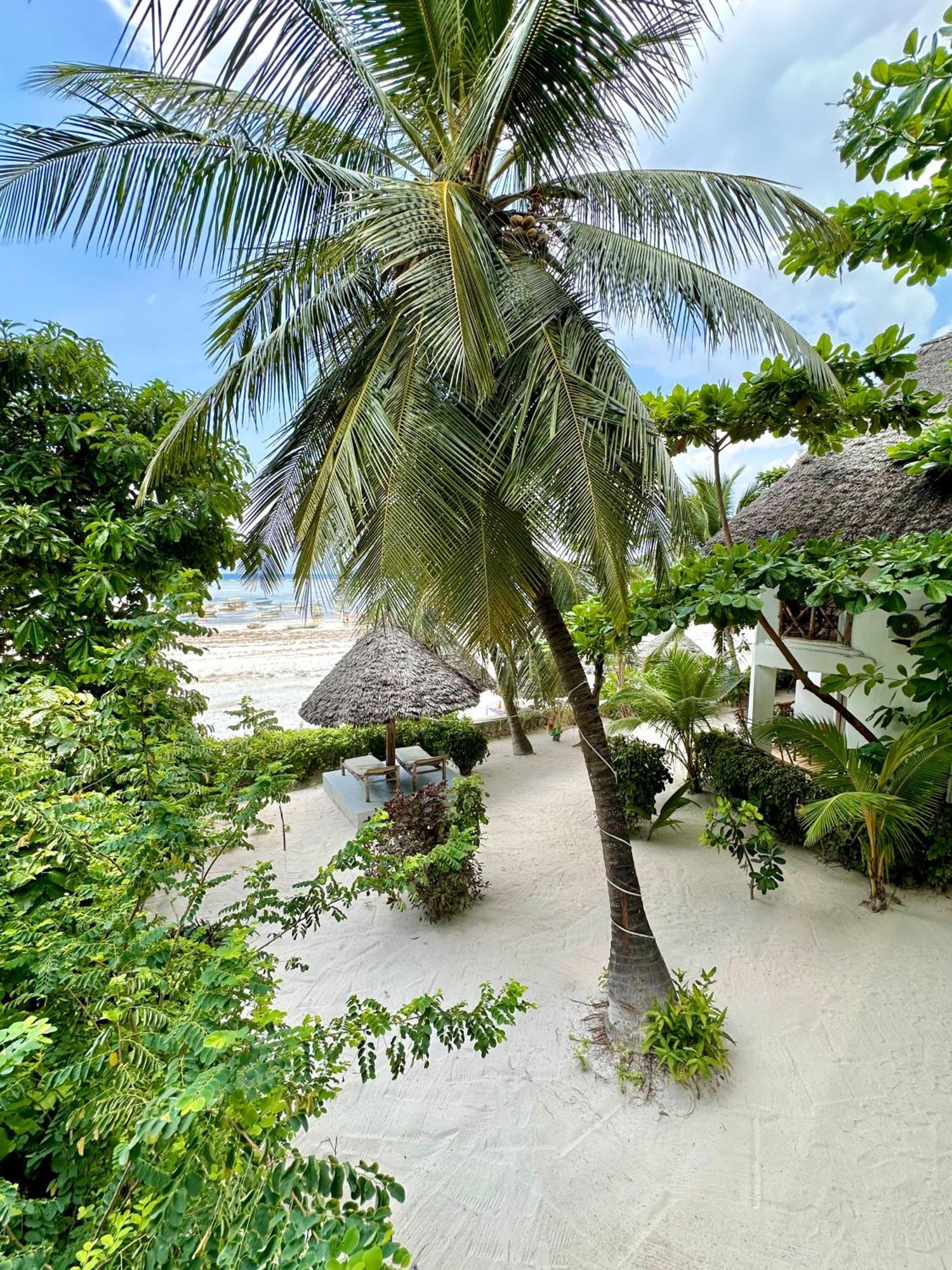 Hebe Bungalows Lodge Matemwe  Exteriör bild